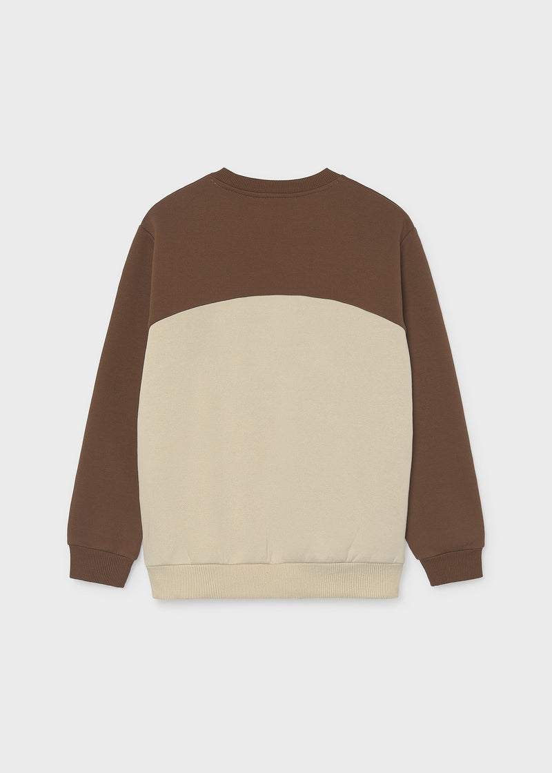 Mayoral Nukutavake Skate Lab colour-block sweatshirt – back flat lay