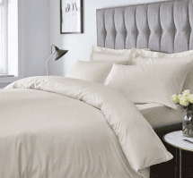 300TC Stain Stripe Fitted Sheet Cream