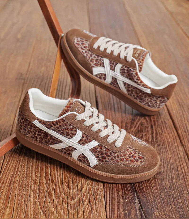 Findlay Leo Trainers | Chocolate  FY1306