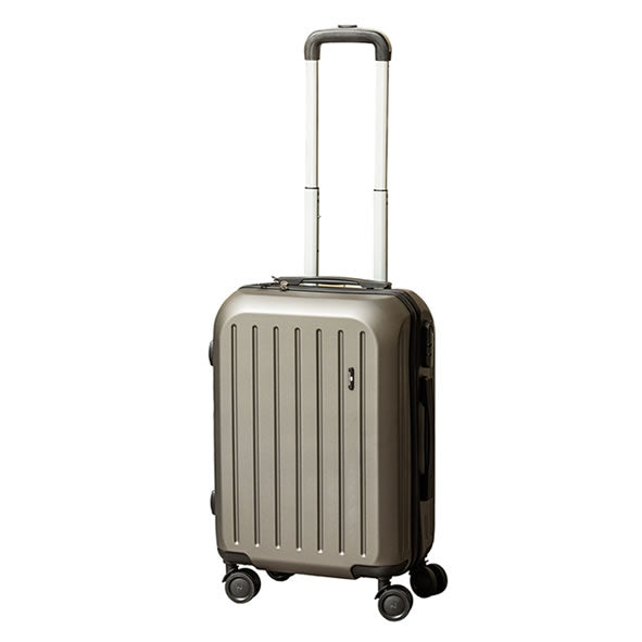 Newgrange Living Shell Trolley Cabin Case 20-inch | Dark Grey 400201