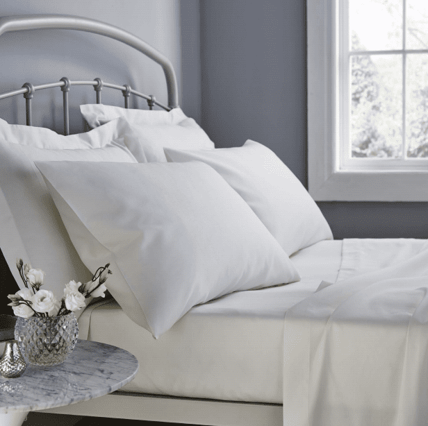 500TC Sheet Cream