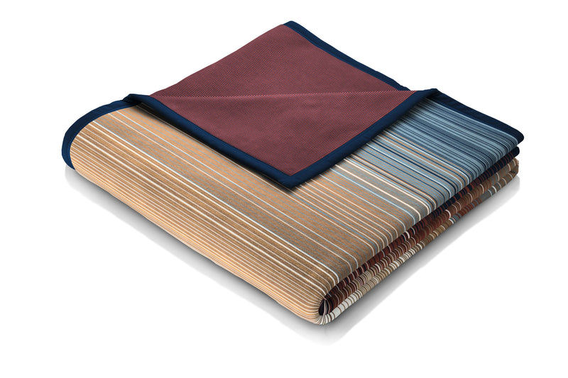 Biederlack Cotton Rich Picnic Blanket Stripe | Multi B7919