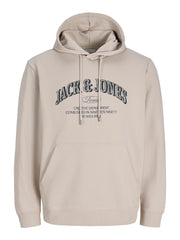 Jack & Jones Denim logo hoodie in moonbeam - front view on model