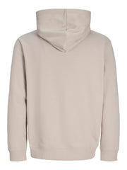 Jack & Jones Denim logo hoodie in moonbeam - back view on model
