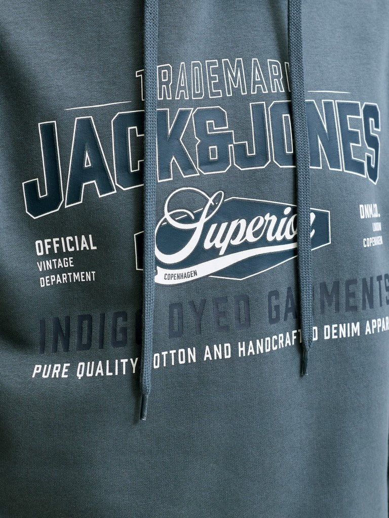Jack & Jones Superior Logo Hoodie - graphic print close-up