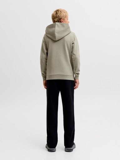 Jack & Jones Jnr Fusion Graphic Hoodie | Grey 12298237
