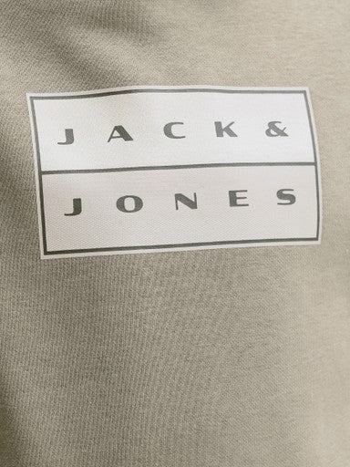 Jack & Jones Jnr Fusion Graphic Hoodie | Grey 12298237