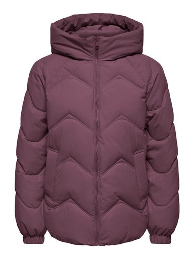 JDY Power Short Hooded Puffer Jacket | Berry 15376541