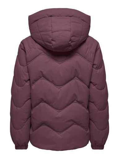 JDY Power Short Hooded Puffer Jacket | Berry 15376541
