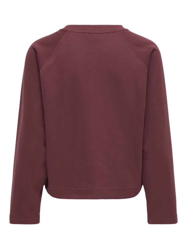 ONLY Ofelia L/S Raglan Sweatshirt | Chocolate