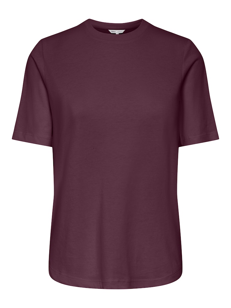 ONLY Onloly  Round Neck T-Shirt | Fig