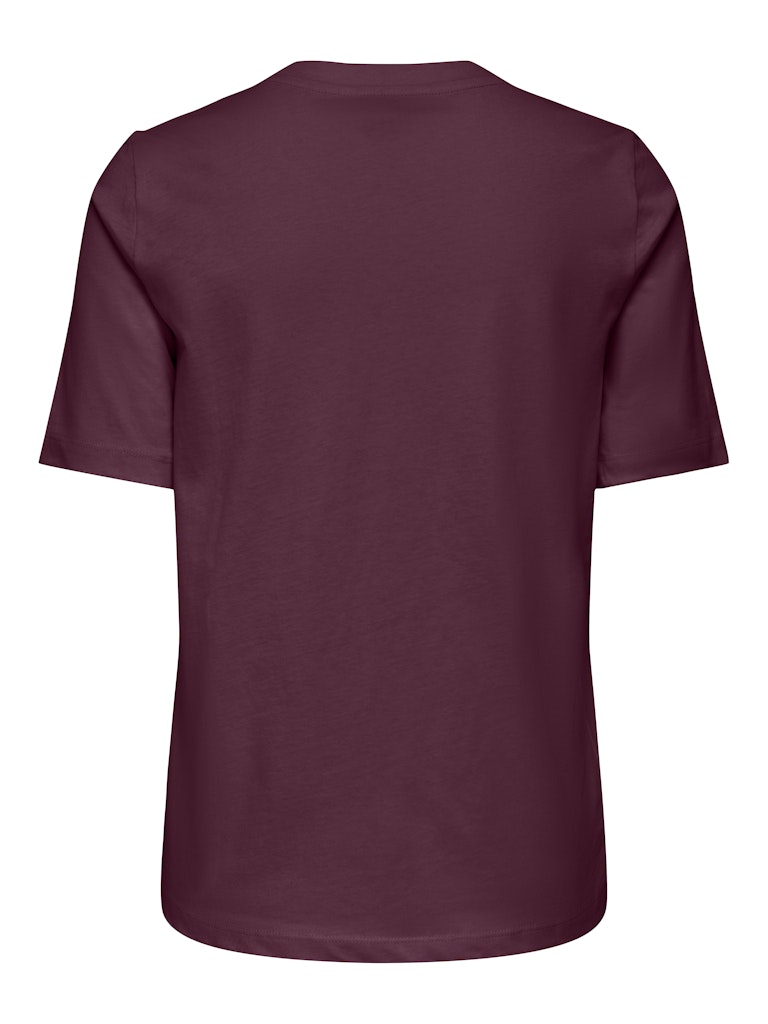 ONLY Onloly  Round Neck T-Shirt | Fig