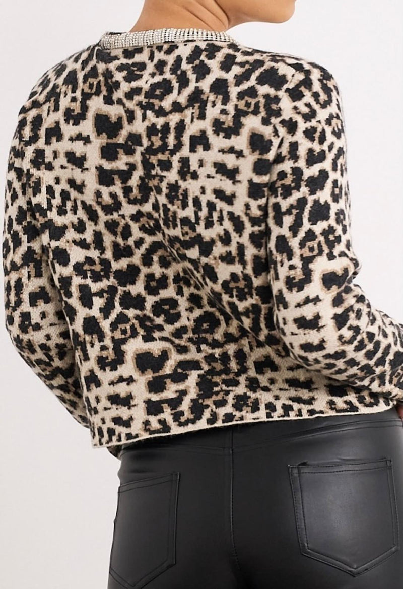 Rebecca Leopard Print Cardigan with embellished Collar | Leopard Print W2560
