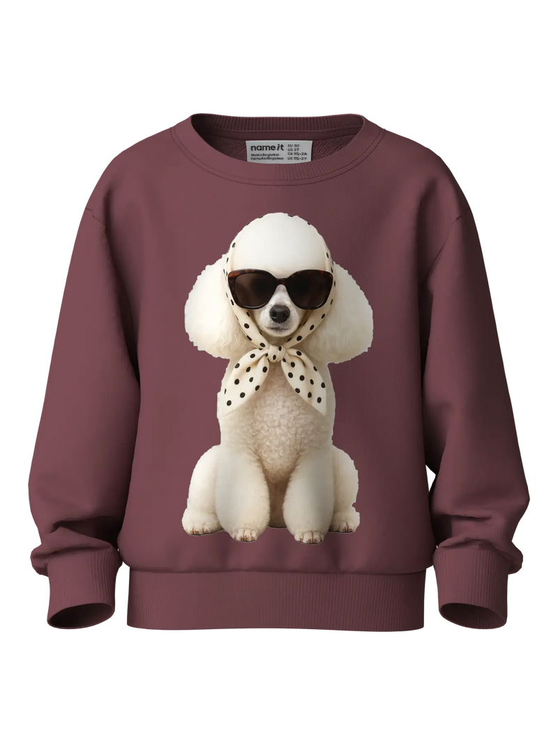 Name It Votea Mini LS Sweat Shirt | Ginger
