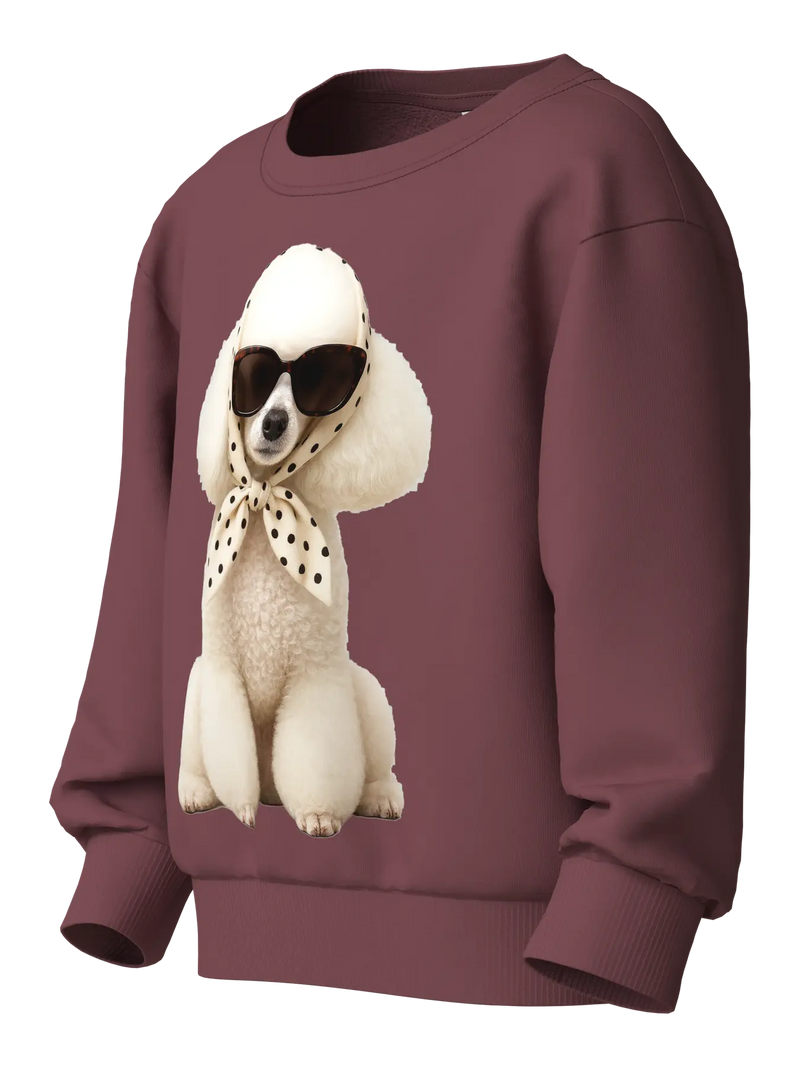 Name It Votea Mini LS Sweat Shirt | Ginger