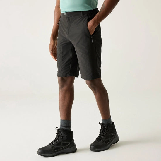 Regatta Highton Long II Men's Walking Shorts | Ash RMJ316