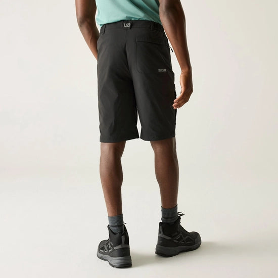 Regatta Highton Long II Men's Walking Shorts | Ash RMJ316