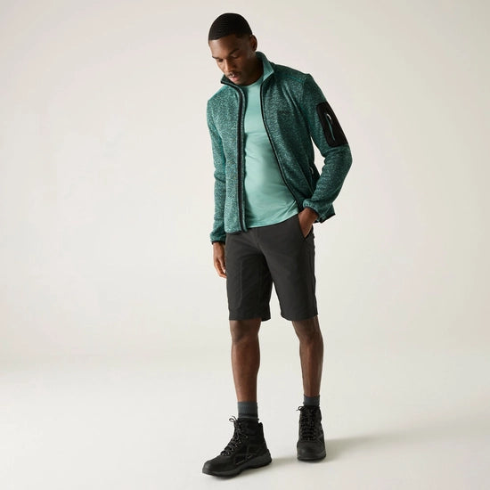 Regatta Highton Long II Men's Walking Shorts | Ash RMJ316