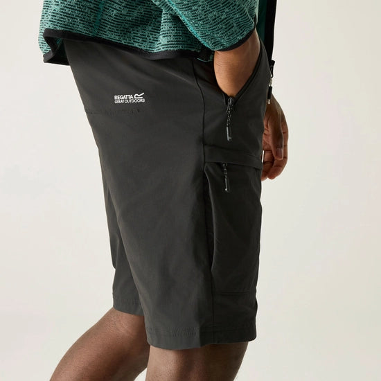 Regatta Highton Long II Men's Walking Shorts | Ash RMJ316