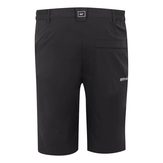 Regatta Highton Long II Men's Walking Shorts | Ash RMJ316