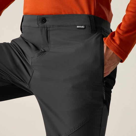 Regatta Questra Men's Walking Trousers | Ash RMJ377R