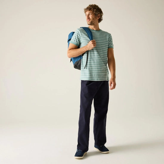 Regatta Benlin Striped Men's T-Shirt | Ice RMT336
