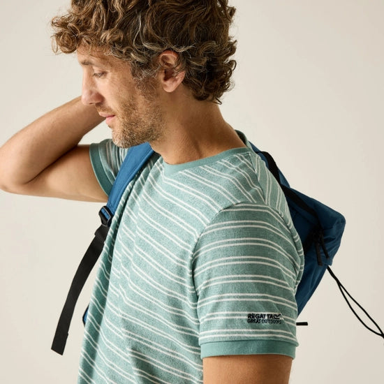 Regatta Benlin Striped Men's T-Shirt | Ice RMT336