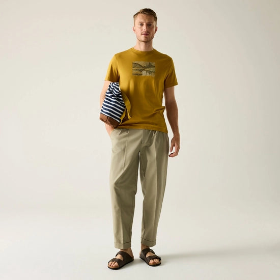 Regatta Breezed Men's Graphic T-Shirt | Wood Bronw RMT344