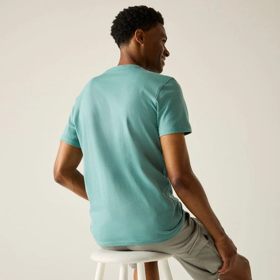 Regatta Breezed Men's Graphic T-Shirt | Ice RMT344
