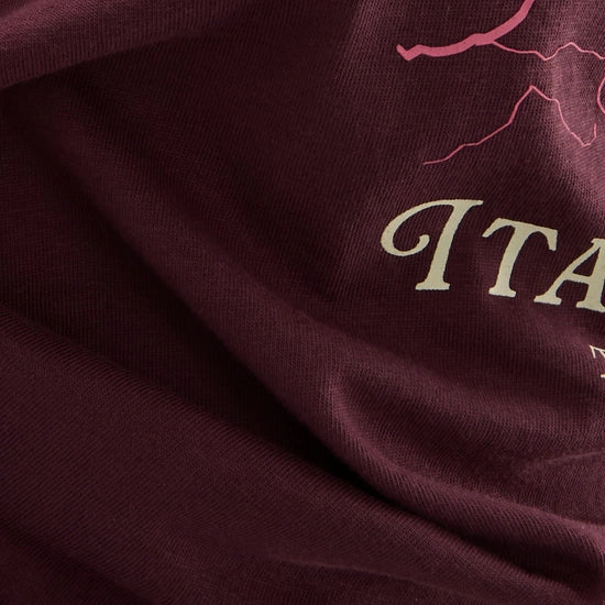 Regatta Filandra VX T-Shirt | Fig Dolomites RWT327