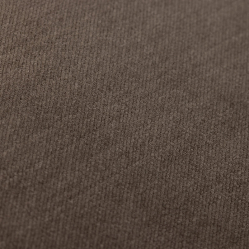 Scatter Box Darcy Velvet Cushion | Cafecreme 3CT1565A