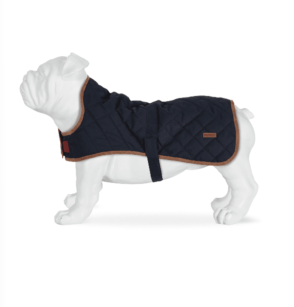 RDE031 Odie Dog Coat Navy