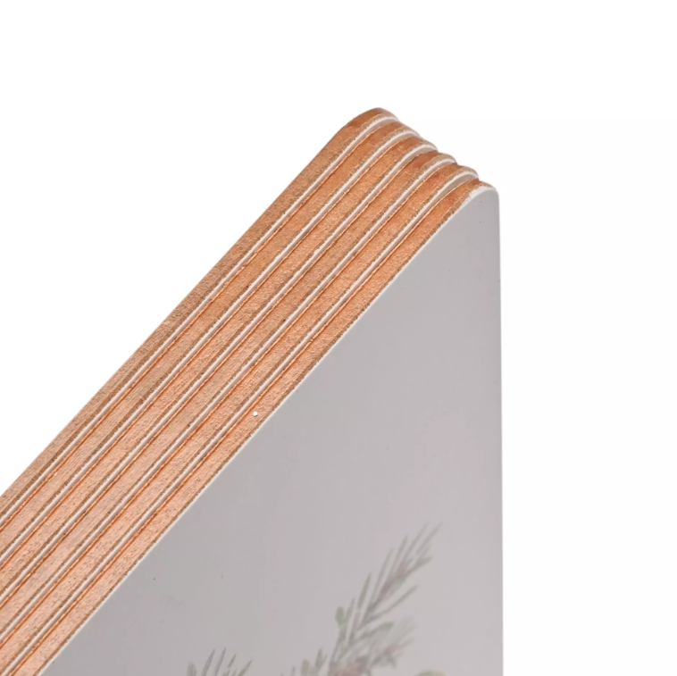 Widdop & Co Set of 4 Robin Placemats | Multi XM15875
