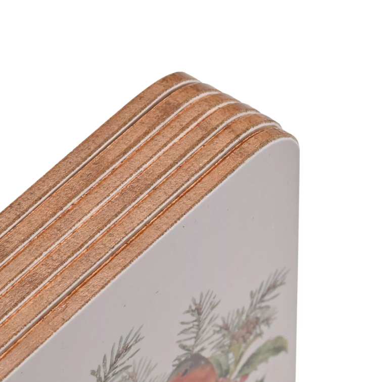 Widdop & Co Set of 4 Robin Coasters | Multi XM15878
