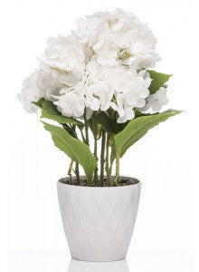 The Grange Collection Hydrangea 35cm |  White TJ22