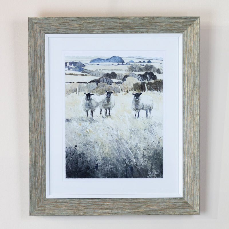 TARA Framed Print – Curious Chatter | Assorted