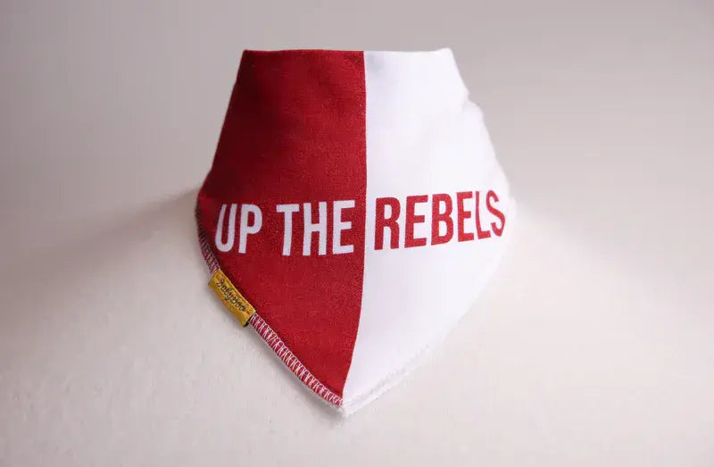 Baby Boo  Cork GAA Dribble Boo Bandana Bib | Red