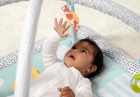 BabyZee Safari Play Gym