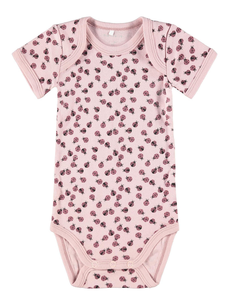 Body 3P SS Deco Rose