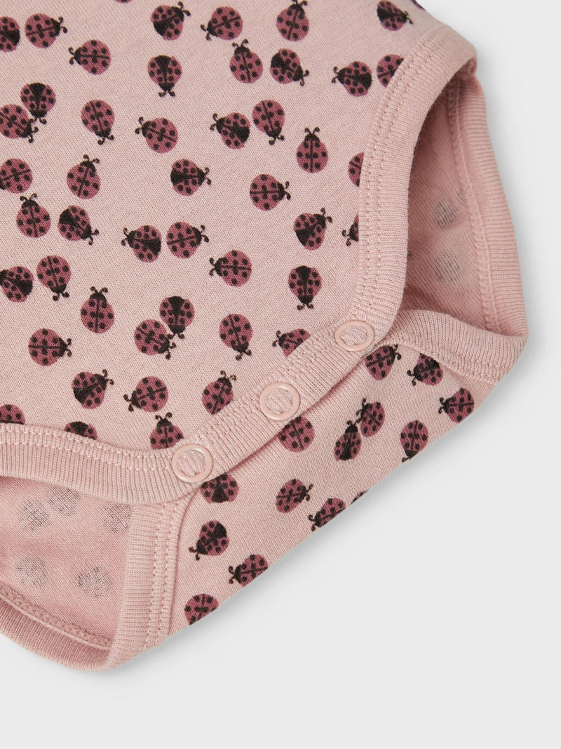 Body 3P SS Deco Rose