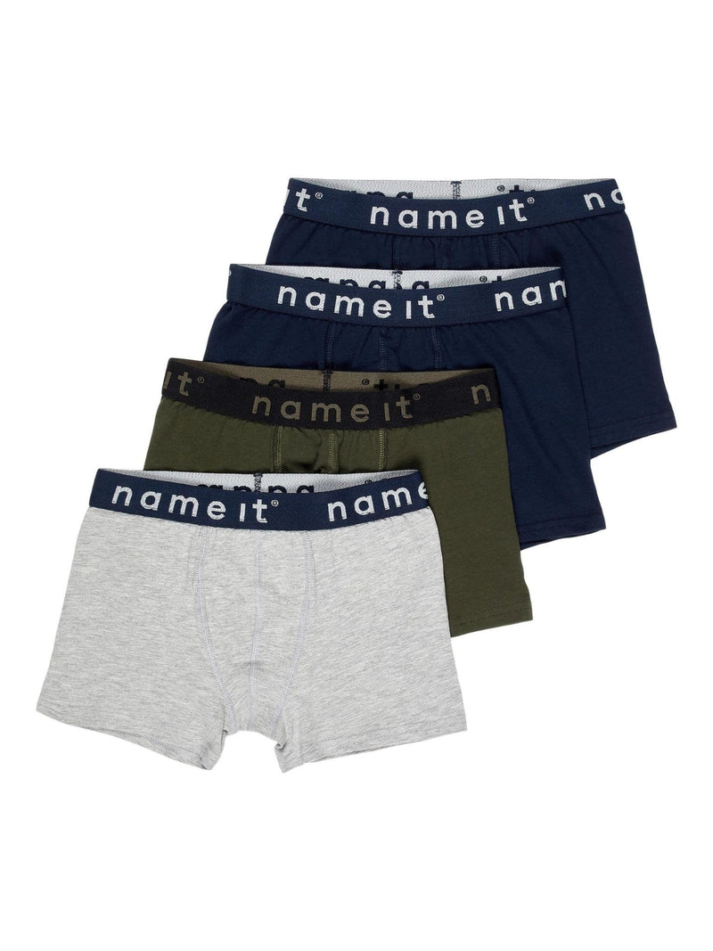 Boxer 4P Forest