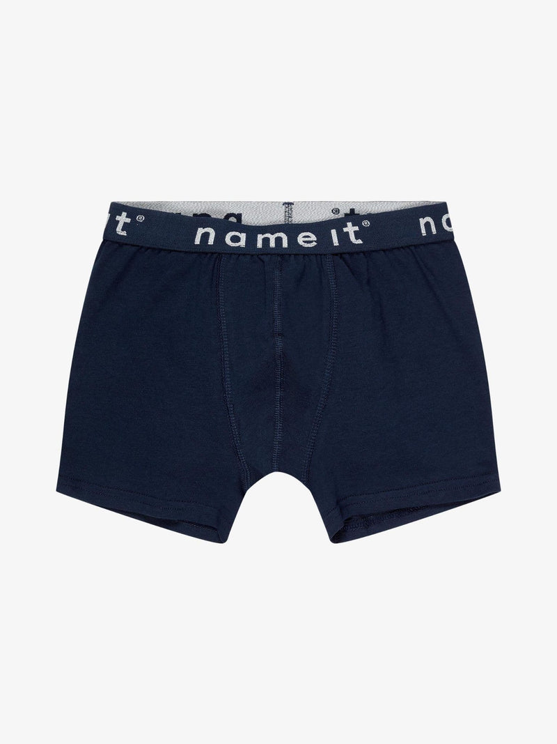 Boxer 4P Forest