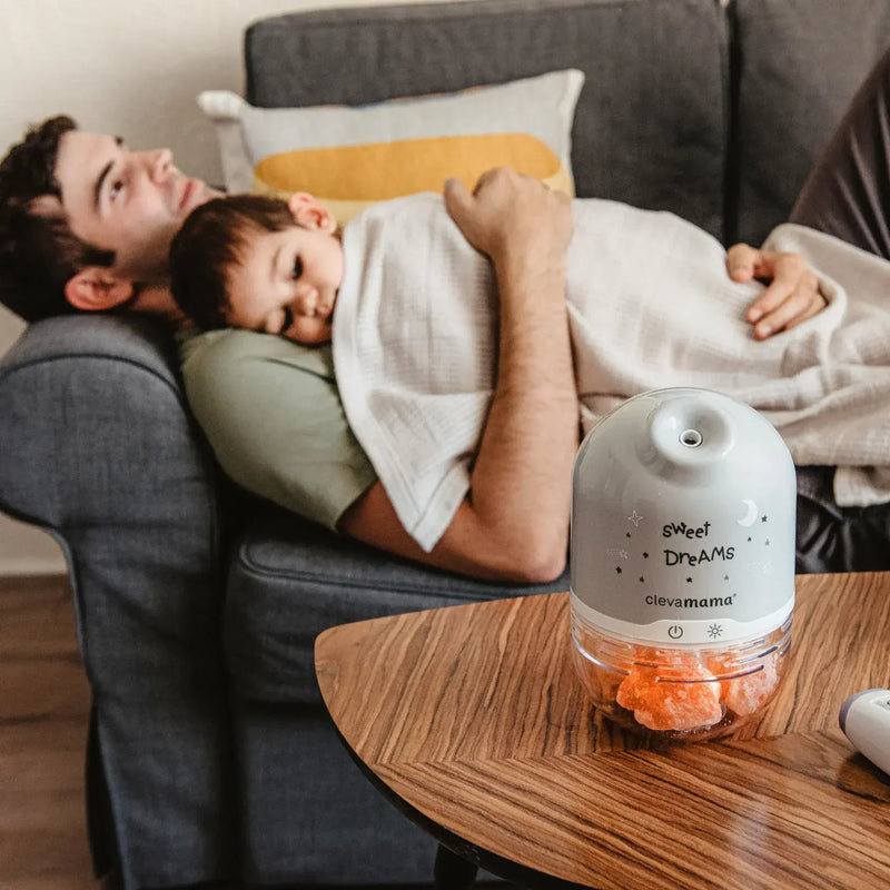 Clever Clogs  ClevaPure Salt Lamp