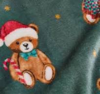 Catherine Lansfield Tartan Teddy Bear Throw | Green 385737