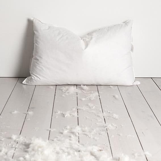 Bedroom Couture Duck Feather Pillow