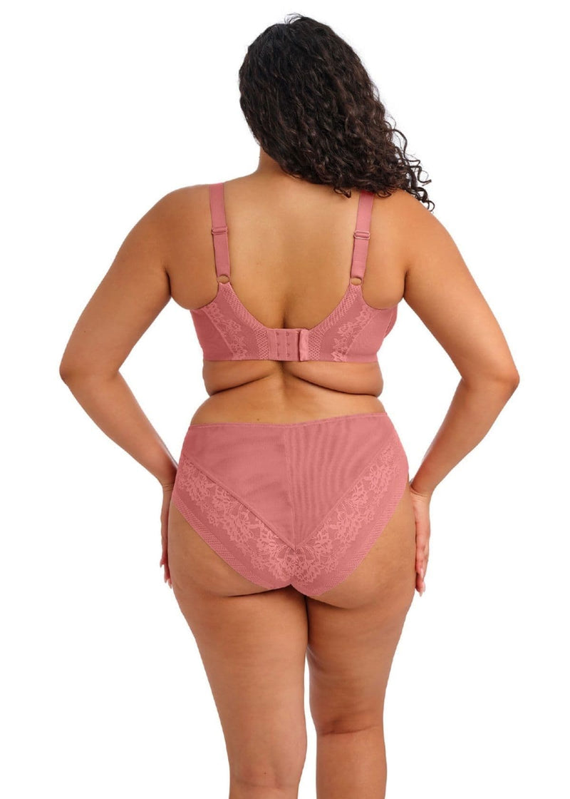 Elomi Neria Brief  | Blush EL302753DRO