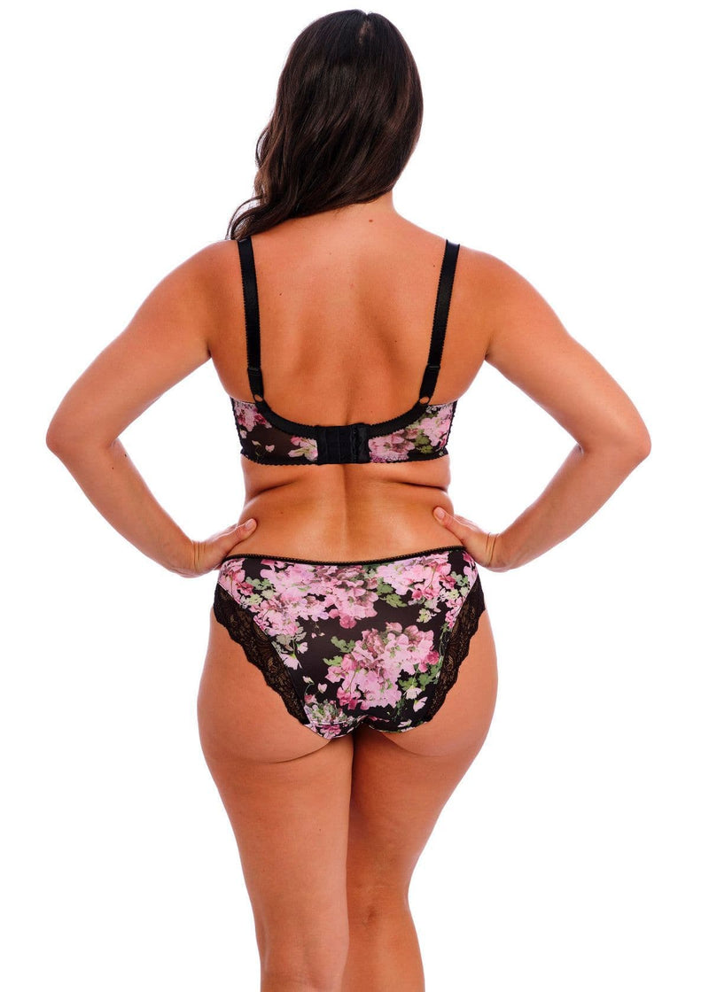 Fantasie Lucia Brief| Black FL101550 SWA