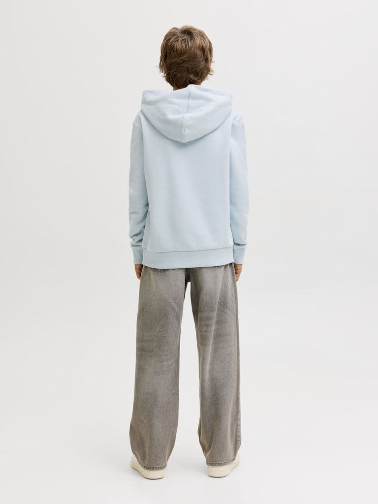 Jack & Jones Caleb Varsity Sweat Hoody | Celestial