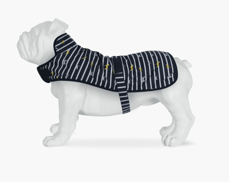 RDE029 Arlo Dog Coat Navy