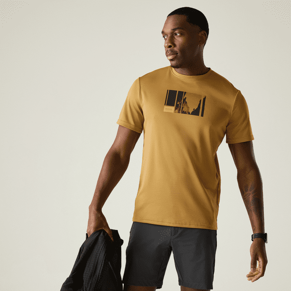 Regatta  Fingal T-Shirt | Wood Brown RMT341